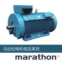 55KW Marathon馬拉鬆電機